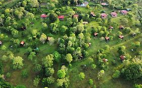 Nature Lodge