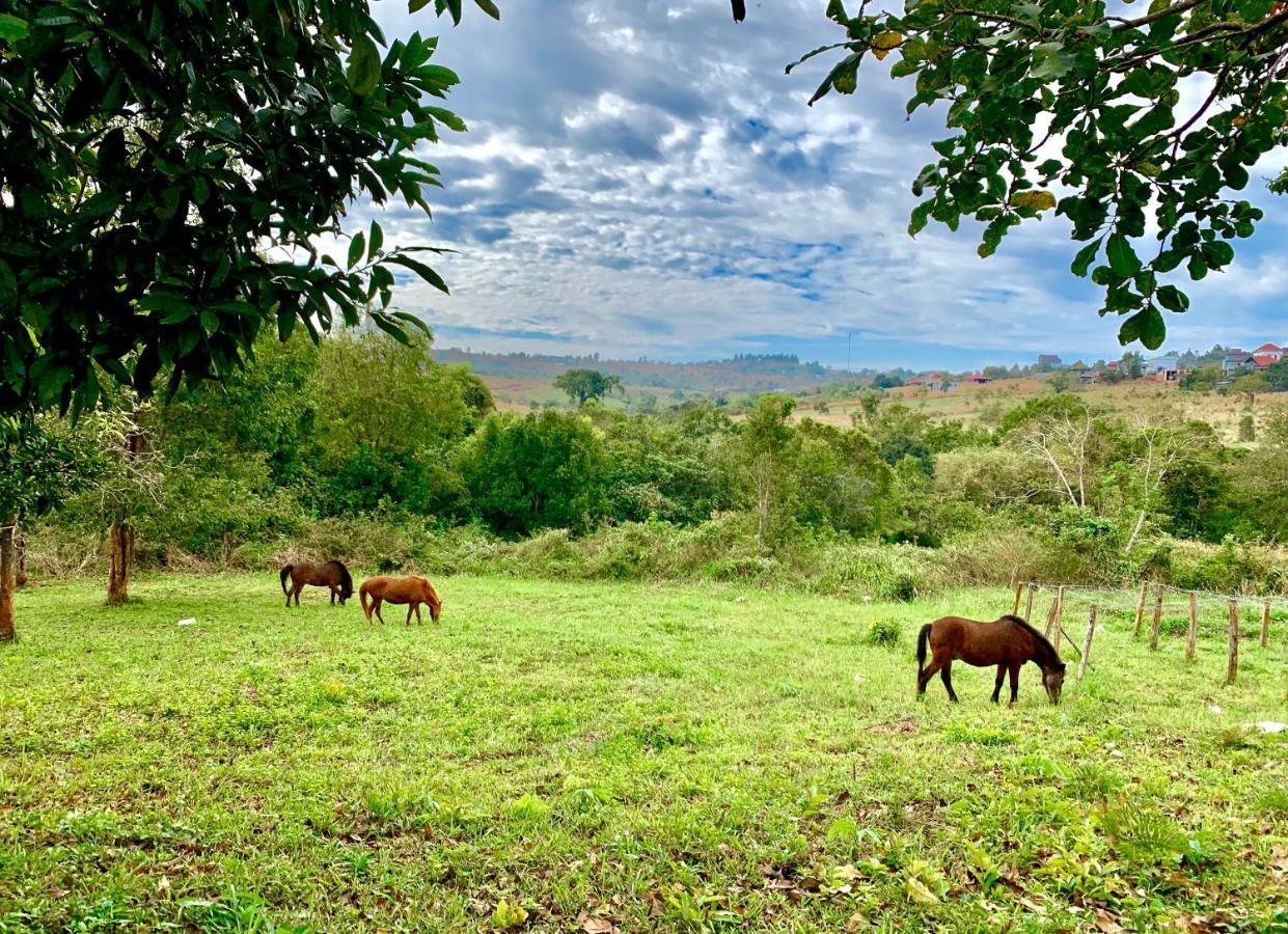 Nature Lodge Sen Monourom Esterno foto