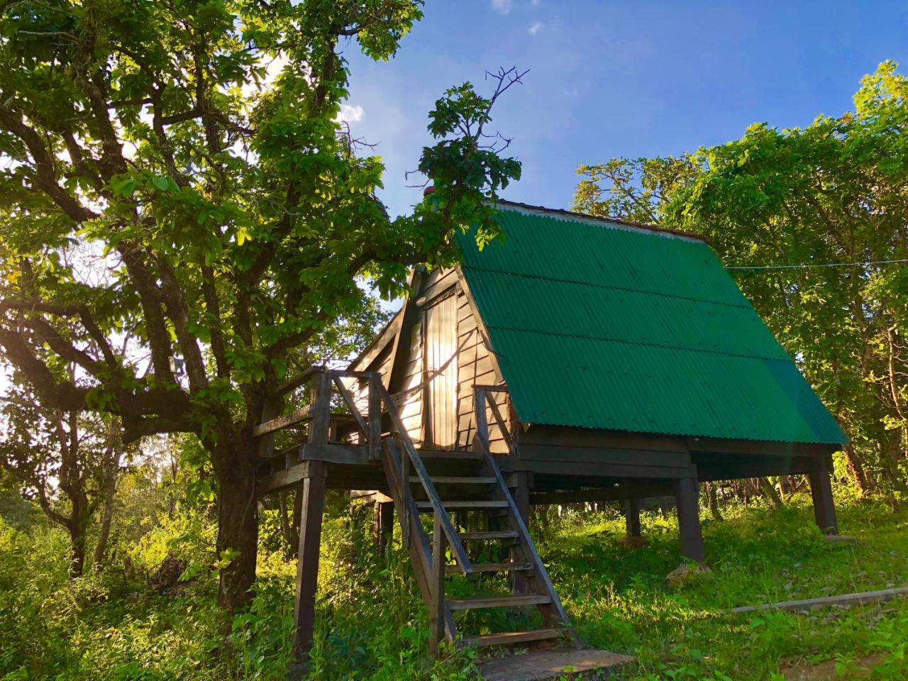 Nature Lodge Sen Monourom Esterno foto